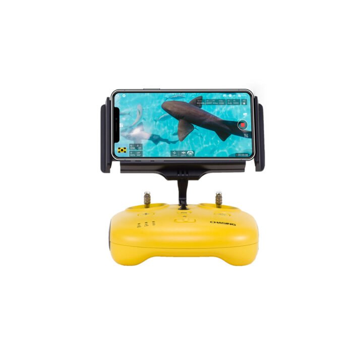 Chasing M2_Mando ROV Chasing